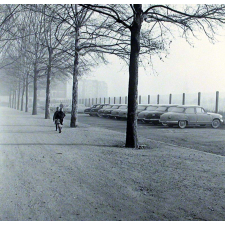 Méthode Freinet, classe promenade : paysage dans le brouillard. Deux élèves longent un alignement de voitures.
