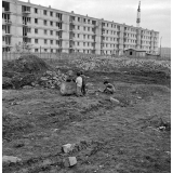 Club des Réglisses : La zone