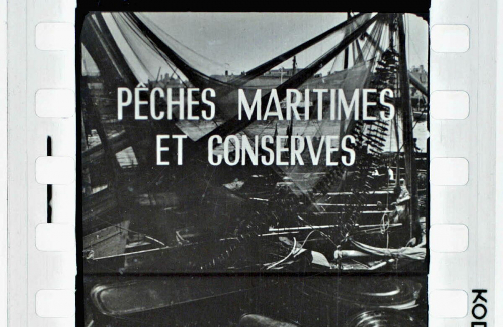 Pêches maritimes et conserves.