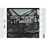 Pêches maritimes et conserves.
