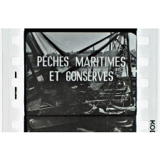Pêches maritimes et conserves.