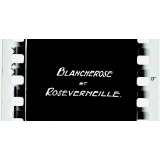 Blancherose et Rosevermeille.