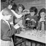 Coopératives scolaires : école d'Argenteuil, le tilleul