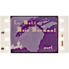 La Belle au bois dormant.