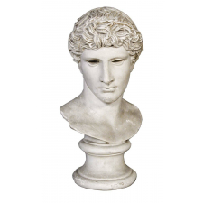 Tête de Jeune Homme Bénévent.