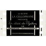 La Pellicule cellulosique.