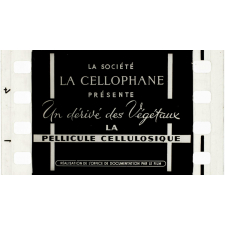 La Pellicule cellulosique.