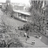 Ecole Estienne : une cour de récréation