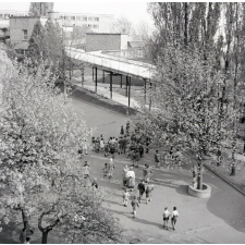 Ecole Estienne : une cour de récréation
