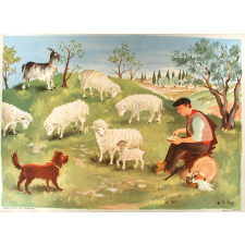 Tableau mural. Images de la vie. 107. Les moutons (Série n°22).