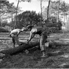 Jeunesse au plein air : colonie de Saumanes, vue extérieure, le sciage du bois