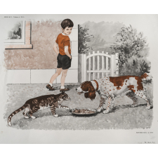 Tableaux de langage. Série IM 2 - n° 25b : La course à pied. n° 26b : Affrontement entre un chien et un chat. 