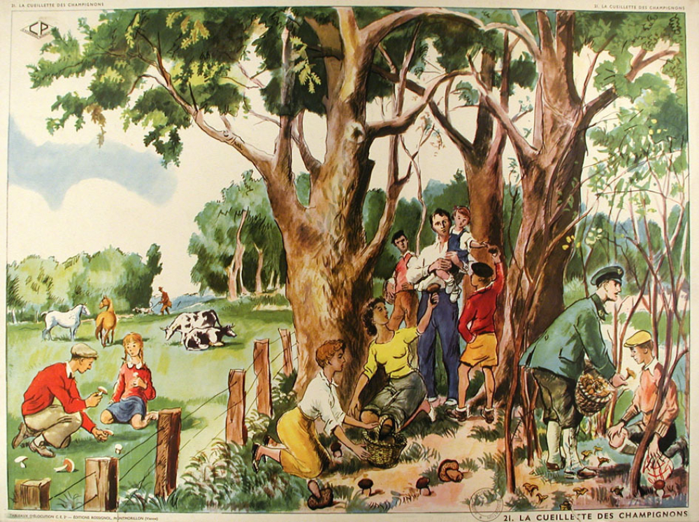Tableaux d'élocution C E. 2ème. 21- La cueillette des champignons. 22- Un camarade blessé.