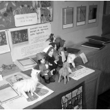 I.P.N. : exposition, Coopératives scolaires : travaux d'élèves.