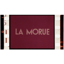La Morue.