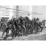 Exposition à l'IPN, 1955 : élèves de Pitoa