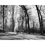 Lycée-pilote mixte de Montgeron. L'entraînement à la course d'endurance dans les bois.