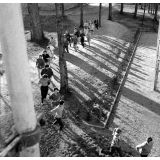 Lycée pilote mixte, Montgeron (Essonne) : entraînement à la course d’endurance dans le parc du lycée