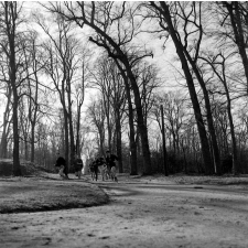 Lycée-pilote mixte de Montgeron. L'entraînement à la course d'endurance dans les bois.