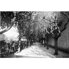 Petit Séminaire Saint-François-de-Sales - Blois. 1927. (Loir-et-Cher).
