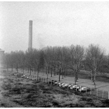 Méthode Freinet, classe promenade : paysage dans le brouillard, des voitures (Panhard), une cheminée d'usine.