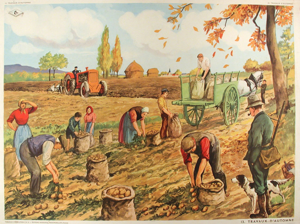 Tableaux d'élocution C E. 2ème. 13- Travaux d'automne. 14- Un match de football (entrée du stade).