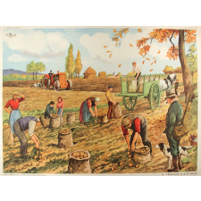 Tableaux d'élocution C E. 2ème. 13- Travaux d'automne. 14- Un match de football (entrée du stade).