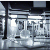 Faculté de médecine et de pharmacie : Un groupe d'étudiants en laboratoire