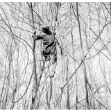 Ecole Freinet, classe promenade : un élève dans un arbre, vu de dos.