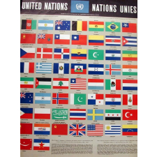Drapeaux des pays membres des Nations Unies. 