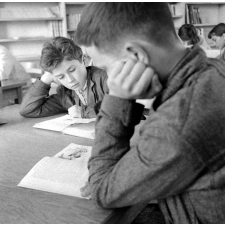 Lycée de Montgeron, la bibliothèque : la lecture.