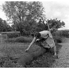 Crucey : L'institutrice dans son jardin