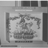 Exposition IPN, Londres : fleurs et plumes : Travaux d'élèves parisiens pour CAP
