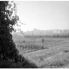 Centre d'éducation surveillée : la formation professionnelle agricole.
