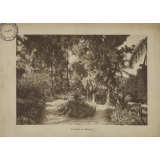 Ecole Ménagère Agricole du Jardin d'Essai du Hamma. Alger. (Algérie).