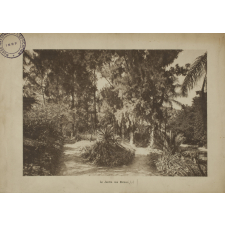 Ecole Ménagère Agricole du Jardin d'Essai du Hamma. Alger. (Algérie).