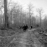 Ecole Freinet, classe promenade : 7 élèves (2 filles, 5 garçons) déambulent sur un chemin forestier.