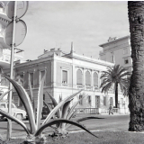 Centre Universitaire Méditerranéen : Nice : Façade