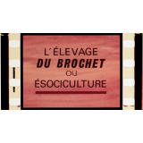 L'Elevage du brochet ou ésociculture.