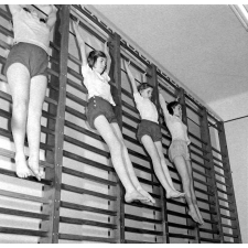 Service de la jeunesse et des sports : suspension active à l'espalier.