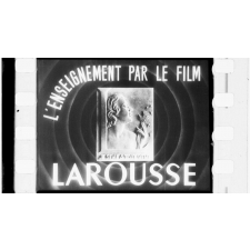 Le Système nerveux. S.26.