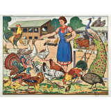 Tableau de vocabulaire : 27- La basse-cour. 28- La place du village.