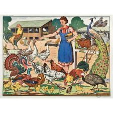Tableau de vocabulaire : 27- La basse-cour. 28- La place du village.