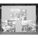 I.P.N. : exposition 