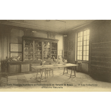 Ecole Primaire Supérieure et Professionnelle de Garçons de Rouen - 15 - Les Collections d'Histoire Naturelle.