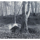 Parc Jean-Jacques Rousseau à Ermenonville