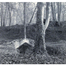 Parc Jean-Jacques Rousseau à Ermenonville