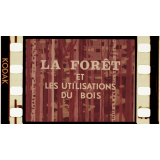 La Forêt et les utilisations du bois.