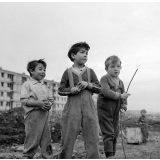 Club des Réglisses : La zone
