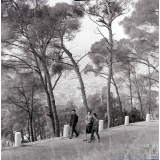 Auberge de jeunesse : Nice : Promenade dans les environs